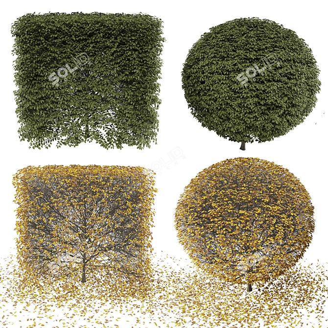 Lush Greenery Bush for 3D Rendering 3D model image 1