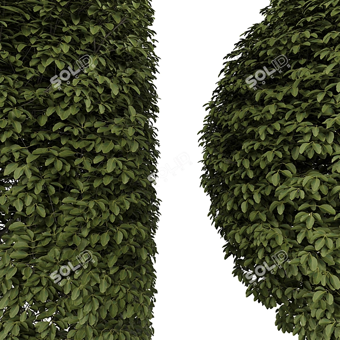 Lush Greenery Bush for 3D Rendering 3D model image 2