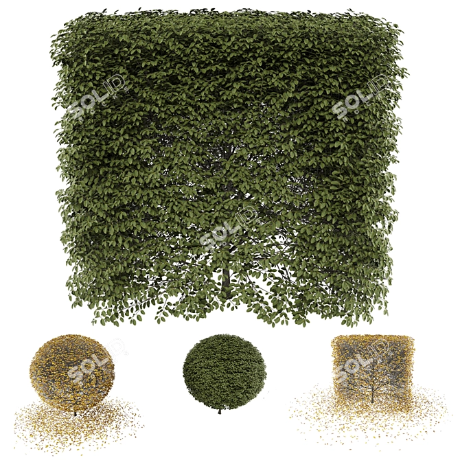 Lush Greenery Bush for 3D Rendering 3D model image 4