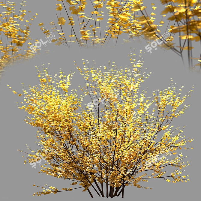 Vibrant Yellow Bush 01 3D model image 1