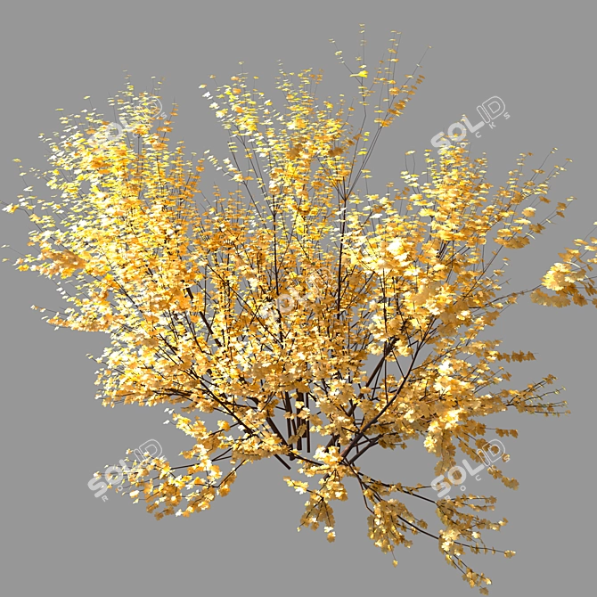 Vibrant Yellow Bush 01 3D model image 2