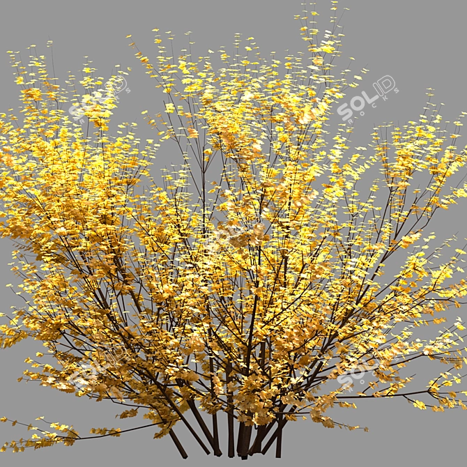 Vibrant Yellow Bush 01 3D model image 3