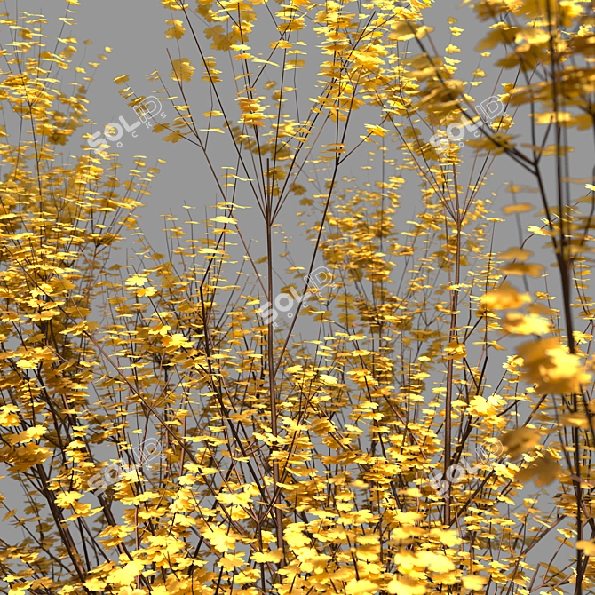 Vibrant Yellow Bush 01 3D model image 4