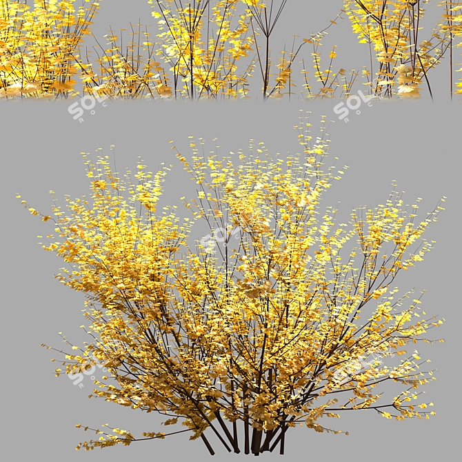 Vibrant Yellow Bush 01 3D model image 7