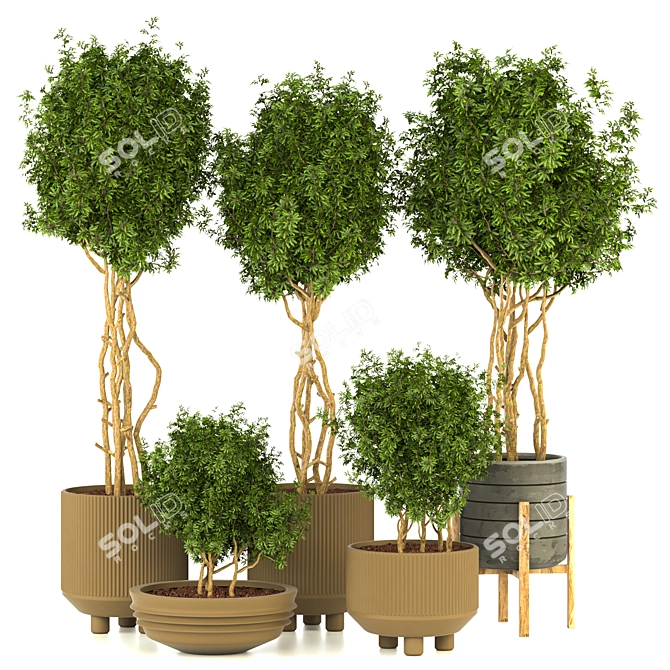 Modern Indoor Plant Vol. 28 3D model image 1