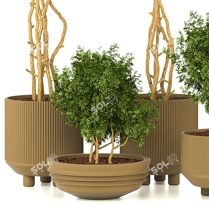 Modern Indoor Plant Vol. 28 3D model image 2