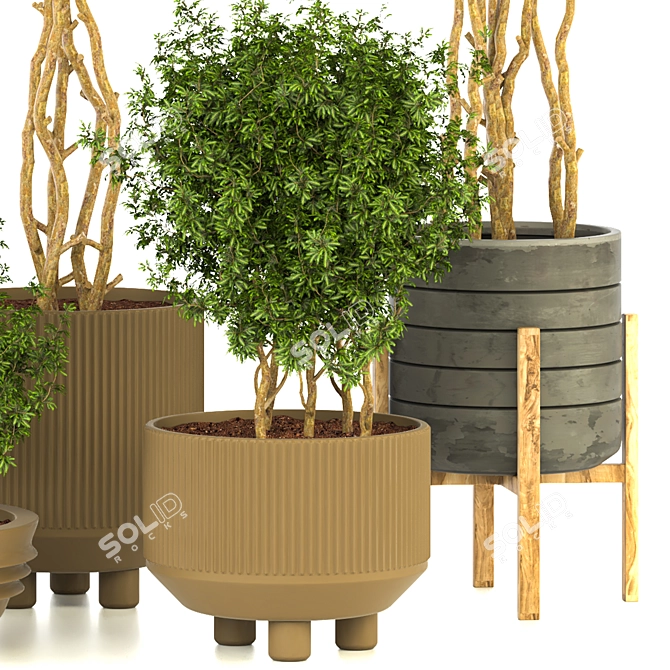 Modern Indoor Plant Vol. 28 3D model image 3