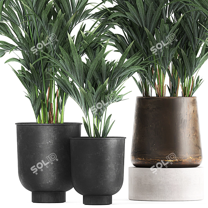 Exotic Plant Collection: Indoor & Outdoor Decor 3D model image 2