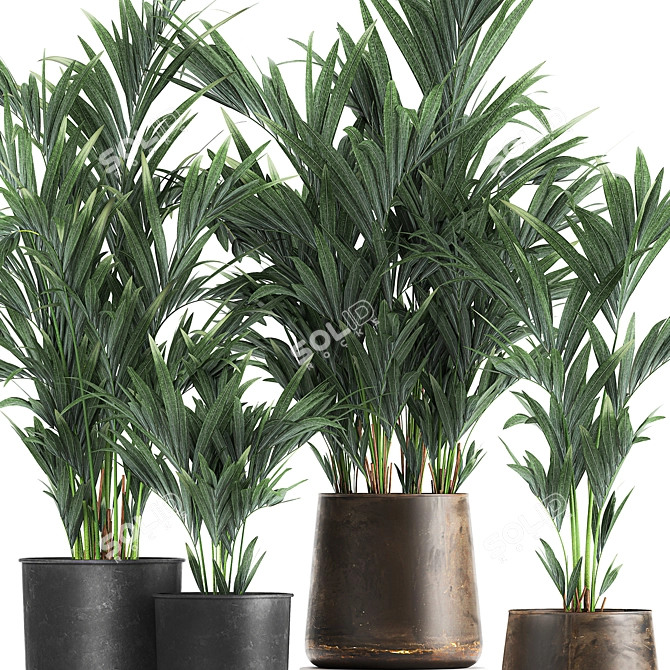 Exotic Plant Collection: Indoor & Outdoor Decor 3D model image 4