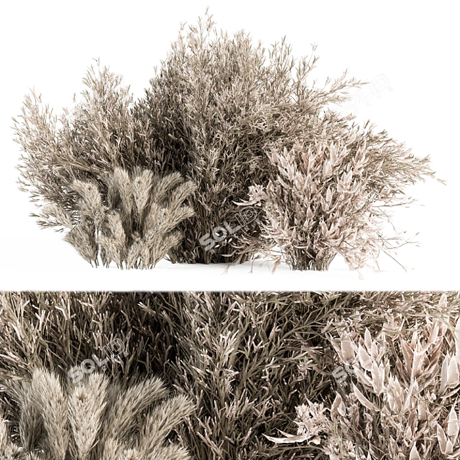 Serene Pampas: Dried Bush Set 3D model image 1