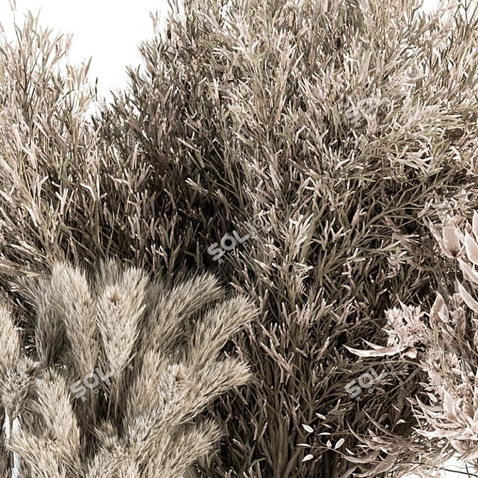 Serene Pampas: Dried Bush Set 3D model image 2
