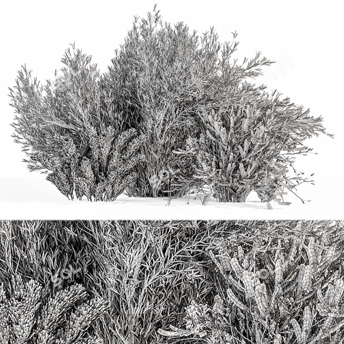 Serene Pampas: Dried Bush Set 3D model image 4