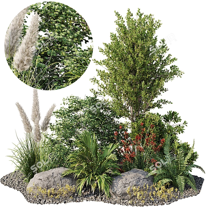 Premium Garden Plant Set 3D model image 1