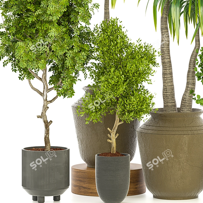 3D Indoor Plant Vol 29: Realistic Greenery 3D model image 2