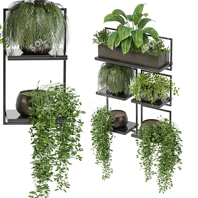 Rustic Indoor Plant Set 173 3D model image 2