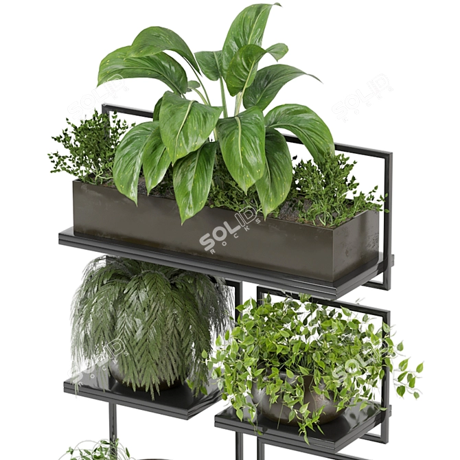 Rustic Indoor Plant Set 173 3D model image 3