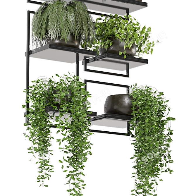 Rustic Indoor Plant Set 173 3D model image 4