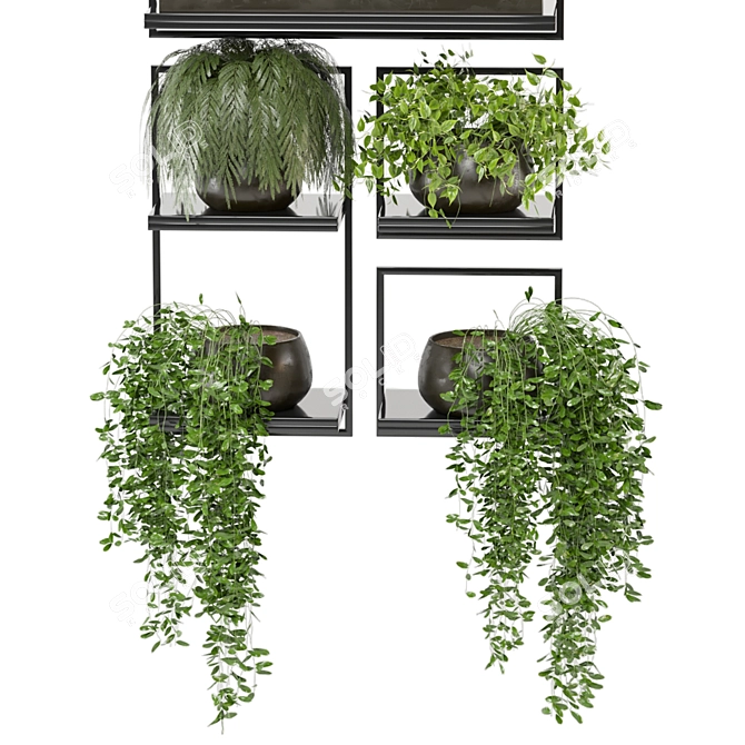 Rustic Indoor Plant Set 173 3D model image 6