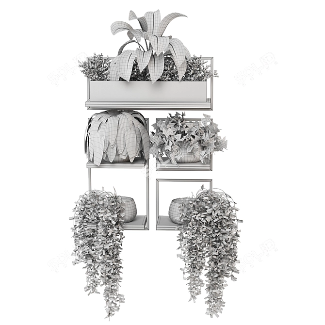 Rustic Indoor Plant Set 173 3D model image 7