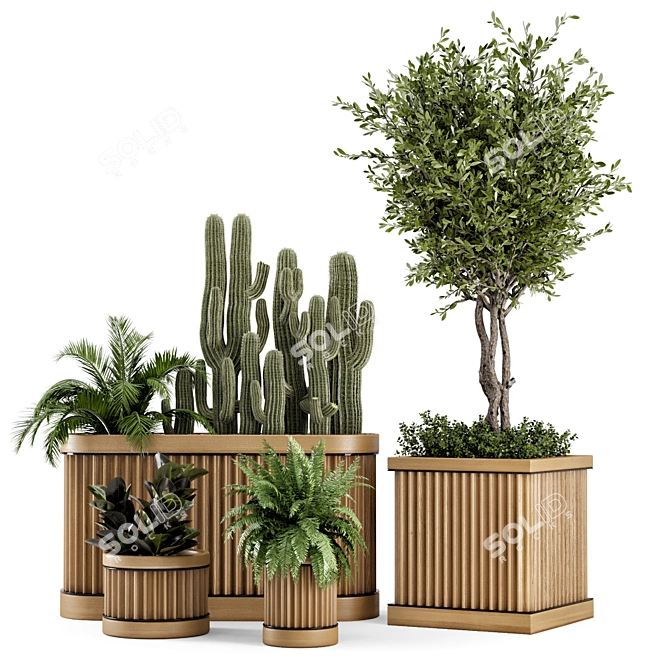 Wooden Pot Indoor Bush & Tree Set 3D model image 1