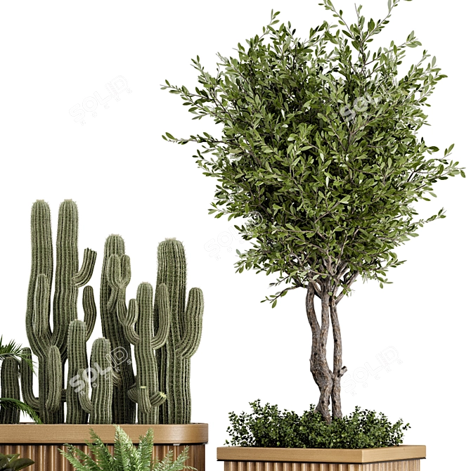 Wooden Pot Indoor Bush & Tree Set 3D model image 2