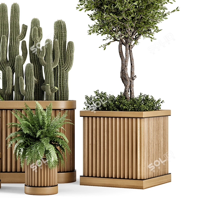 Wooden Pot Indoor Bush & Tree Set 3D model image 4