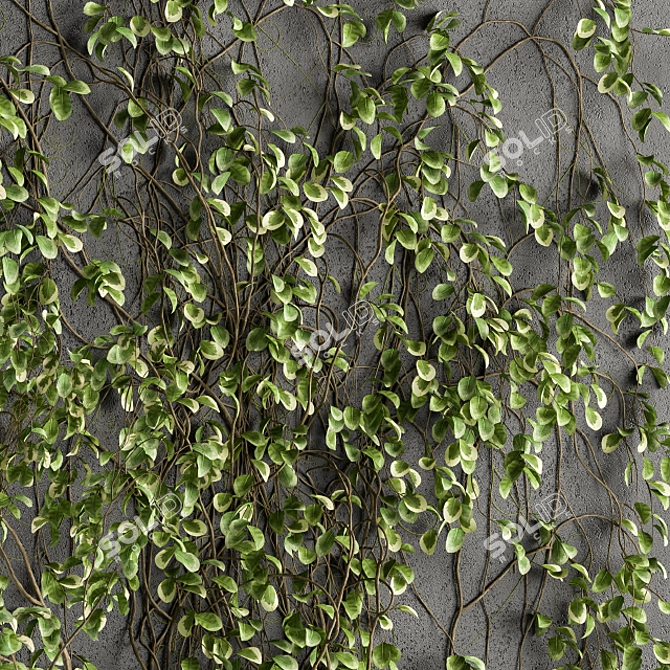 Evergreen Wall - Outdoor Vertical Garden 3D model image 3