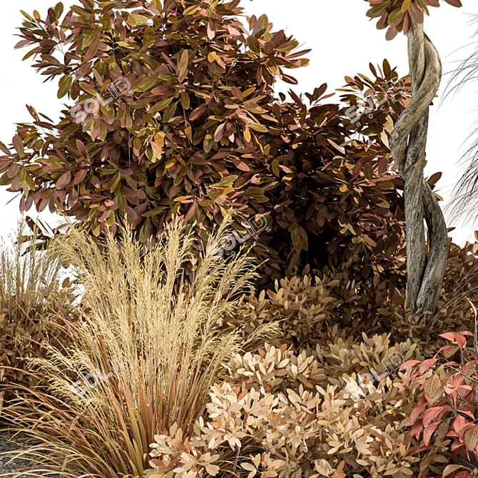 Autumn Elegance - Garden Set 3D model image 3