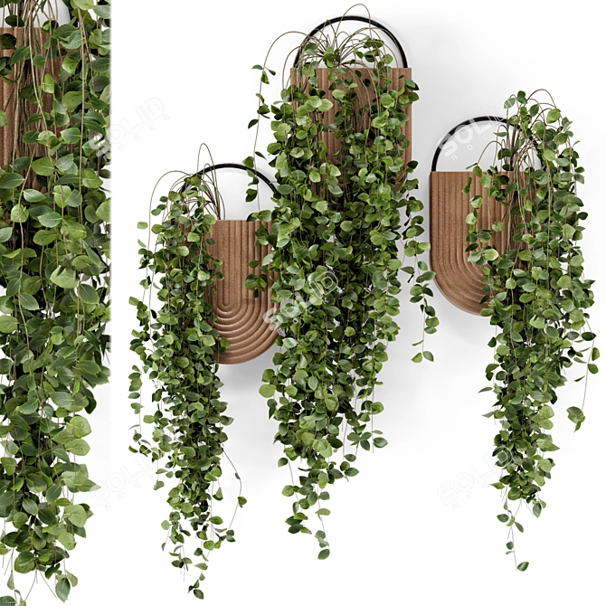 Modern Hanging Plants in Sleek Concrete Pot 3D model image 1