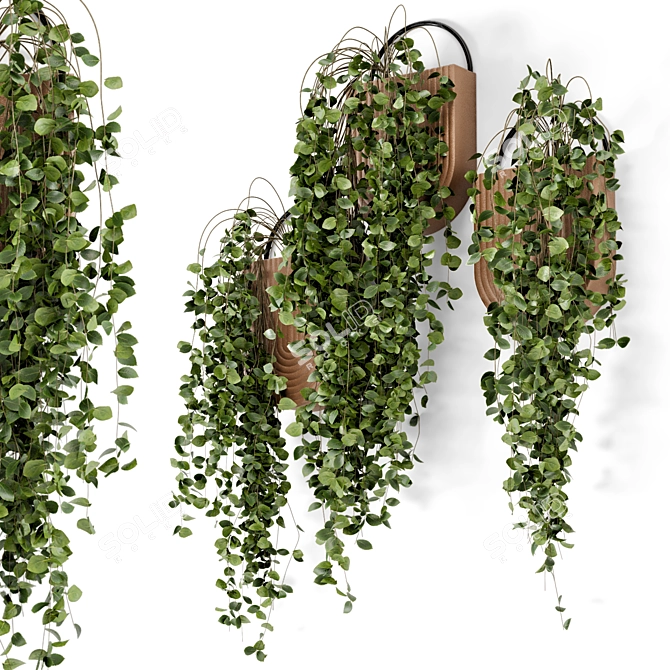 Modern Hanging Plants in Sleek Concrete Pot 3D model image 2