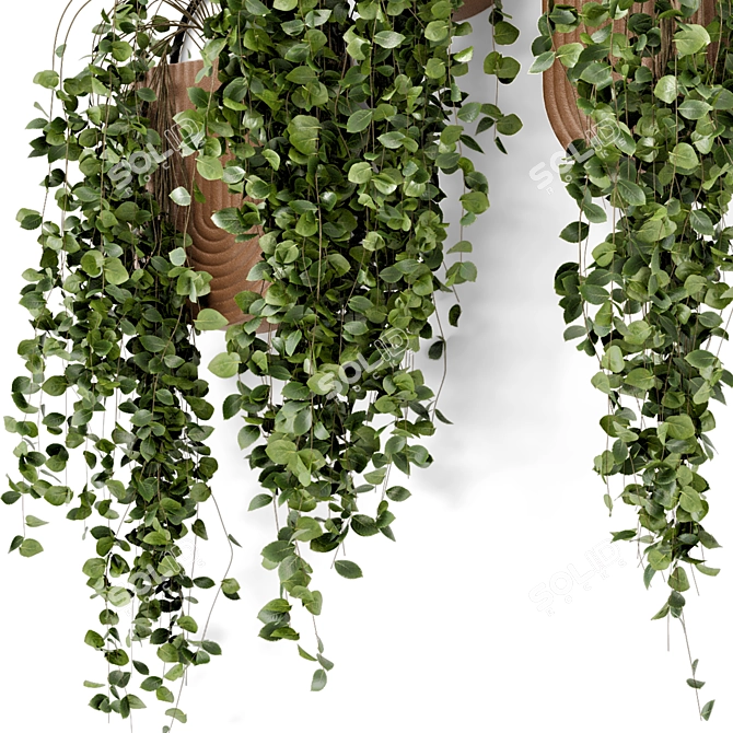 Modern Hanging Plants in Sleek Concrete Pot 3D model image 4