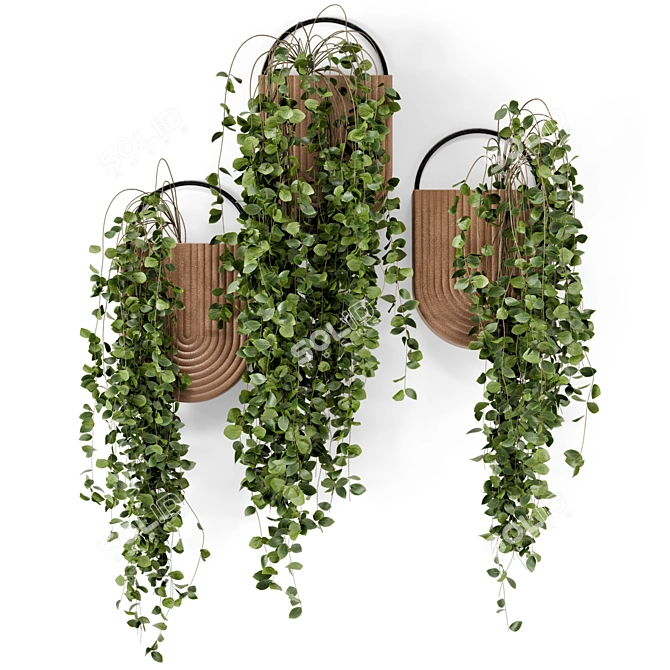 Modern Hanging Plants in Sleek Concrete Pot 3D model image 5