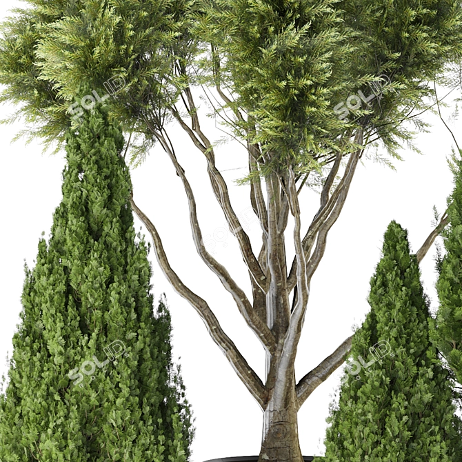 Outdoor Plant Vol 30: High-quality 3D Model 3D model image 3
