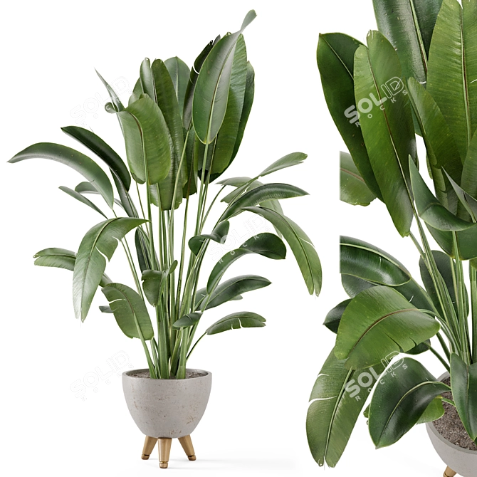 Rusty Concrete Pot Indoor Plants - Set 405 3D model image 1