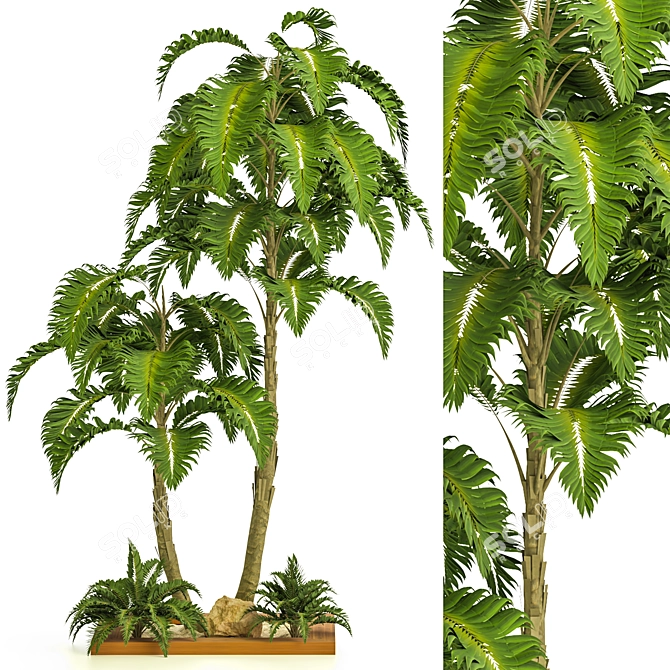 Tropical Garden Set Vol.32 3D model image 1