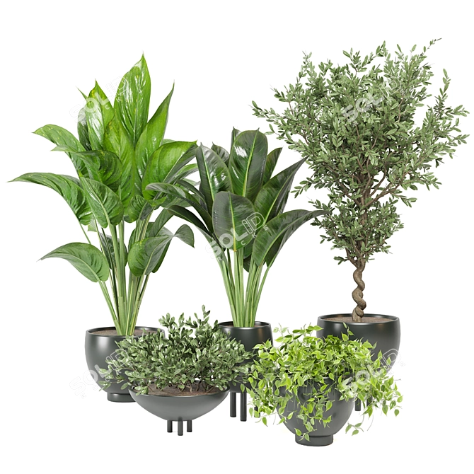 Green Oasis: Indoor Plants Collection 3D model image 1