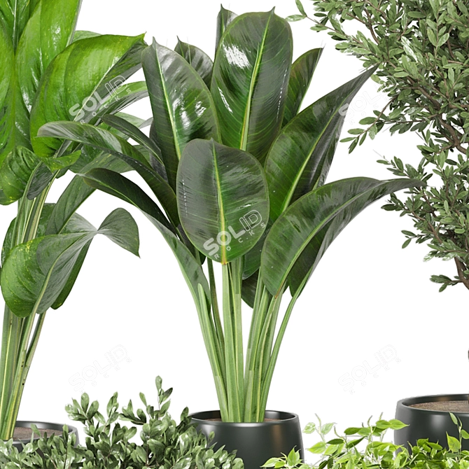 Green Oasis: Indoor Plants Collection 3D model image 2