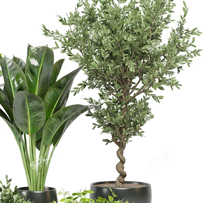 Green Oasis: Indoor Plants Collection 3D model image 3