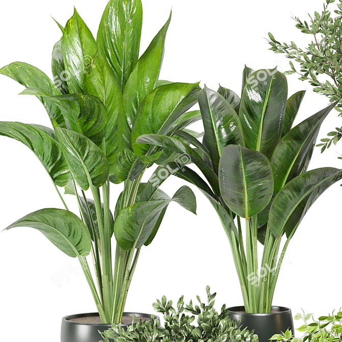 Green Oasis: Indoor Plants Collection 3D model image 4