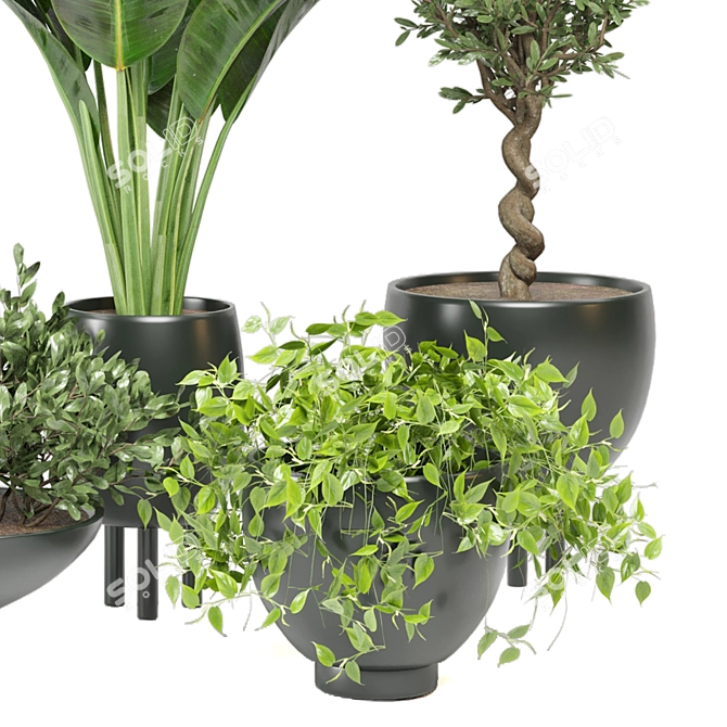 Green Oasis: Indoor Plants Collection 3D model image 5