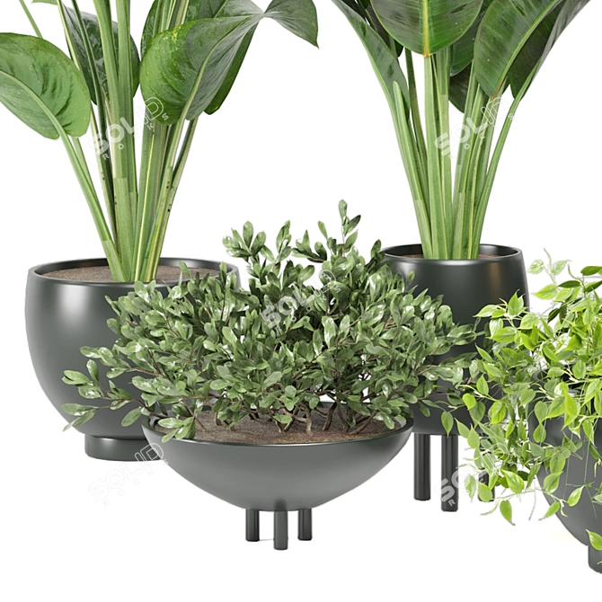 Green Oasis: Indoor Plants Collection 3D model image 6