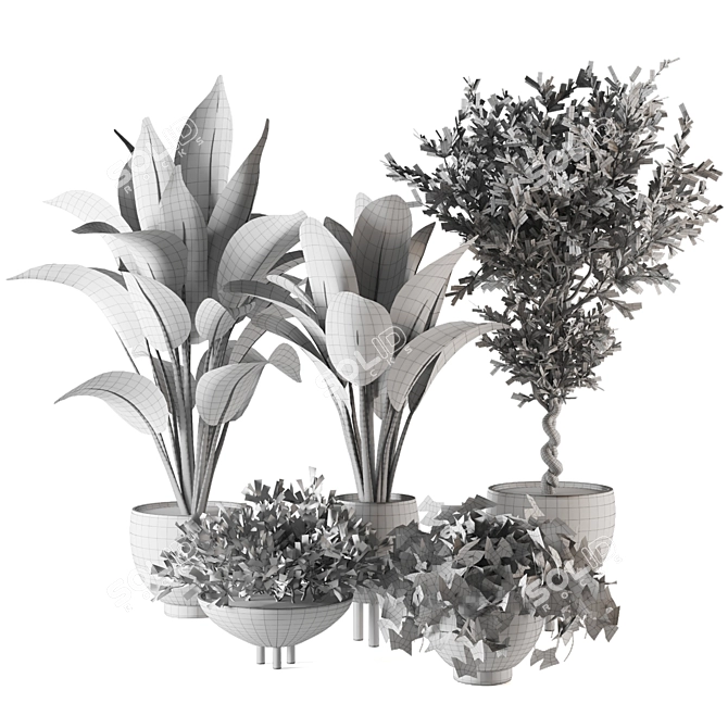 Green Oasis: Indoor Plants Collection 3D model image 7