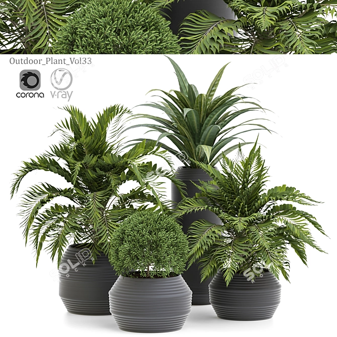 Versatile Outdoor Plant Design 3D model image 1