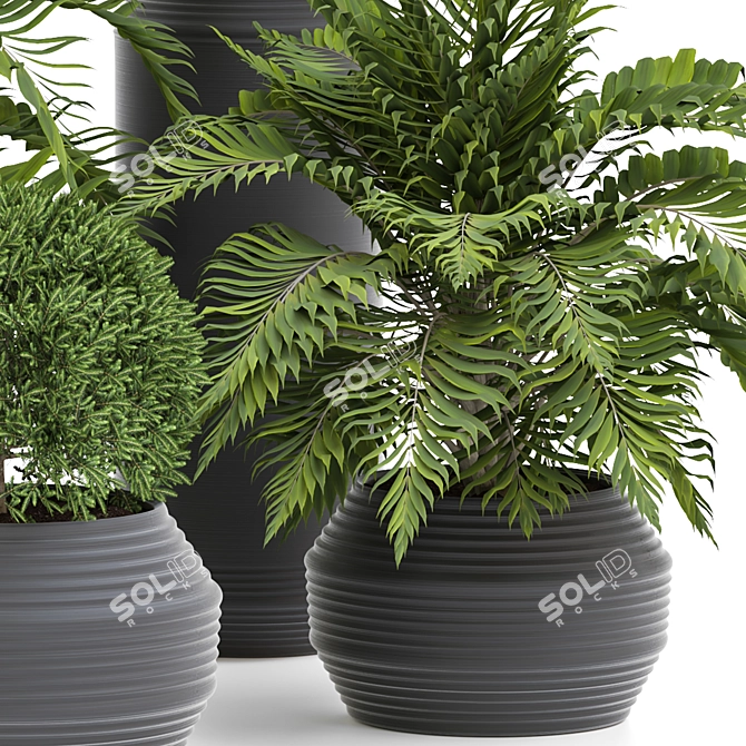 Versatile Outdoor Plant Design 3D model image 2