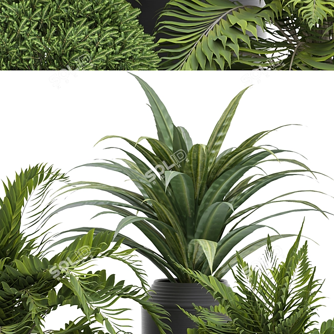 Versatile Outdoor Plant Design 3D model image 3