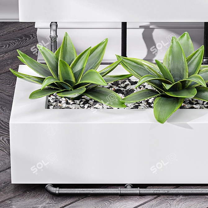 Executive Air Purifying Office Plant 3D model image 3