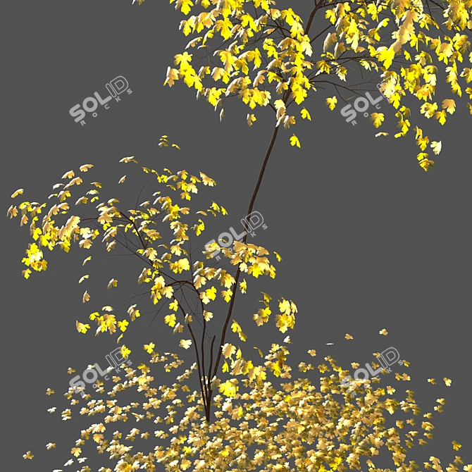 Acer Fall 02: Stunning Landscaping Solution 3D model image 5