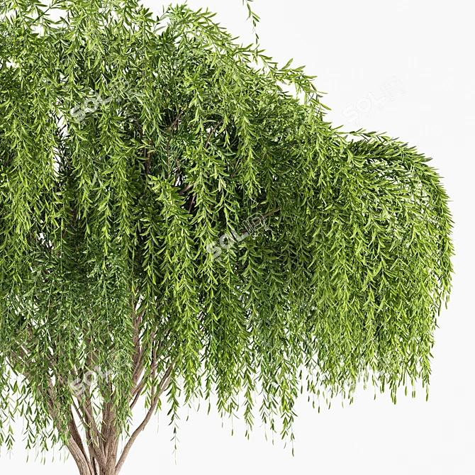 Title: Weeping Willow Tree - Outdoor Garden Design 3D model image 3