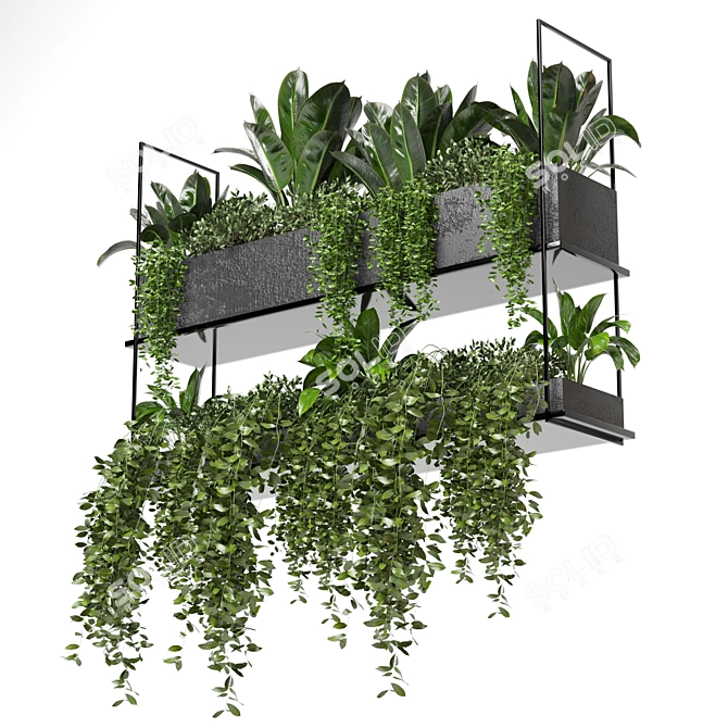 Metal Box Hanging Plants - Set 179 3D model image 3