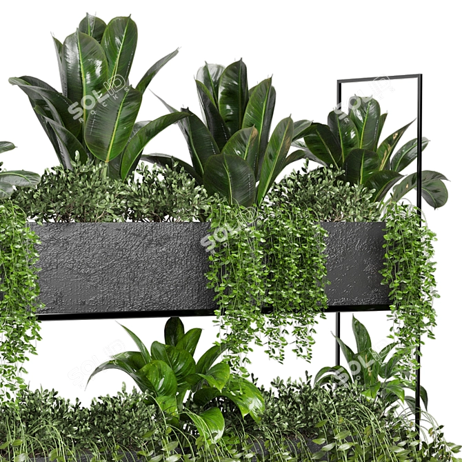 Metal Box Hanging Plants - Set 179 3D model image 5